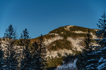 Winter in rocky mountains