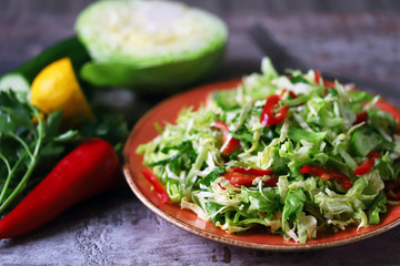 Healthy spring salad on a plate. Salad with fresh cabbage, herbs and cucumber. Cabbage salad. Vegan diet. Eco food.