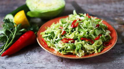 Healthy spring salad on a plate. Salad with fresh cabbage, herbs and cucumber. Cabbage salad. Vegan diet. Eco food.
