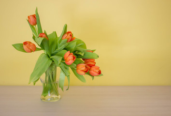 Bunch of orange tulips in glass vase with water on the wooden table, yellow background