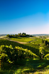 Fototapeta na wymiar Toscana - Tra le colline di Vinci