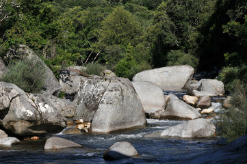 pierres dans un fleuve de moyenne montagne - Corse