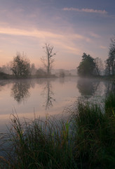 Fototapeta na wymiar sunrise over the lake with mist and lone tree