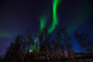Fototapeta na wymiar Polarlicht, Fluss Eibyelva, Alta, Norwegen