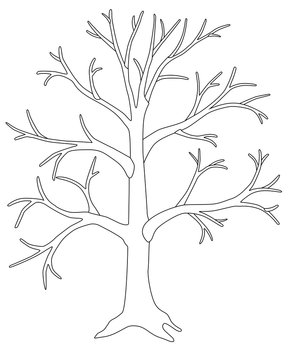 A large tree without leaves is a vector linear picture for coloring. A tree in winter or autumn without foliage with a trunk, branches and root. Outline. Hand drawing.