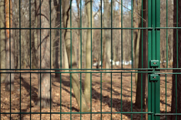 Forest behind bars. A park. Fence. The trees. Foliage.