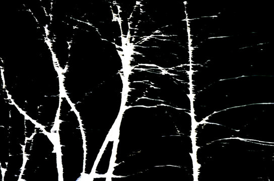 Black metal art.  Black and white tree. Background.