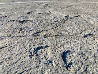 Natural monument of fossil dinosaur footprints in Serra D 'Aire in Pedreira do Galinha, in...
