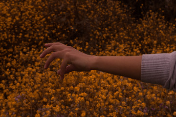 flores amarillas y mano relajada de mujer