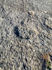 Natural monument of fossil dinosaur footprints in Serra D 'Aire in Pedreira do Galinha, in Portugal. A pedagogical circuit was created at the site, where visitors can see and touch the footprints