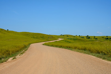 Dirt Road Winds Through Green Fields