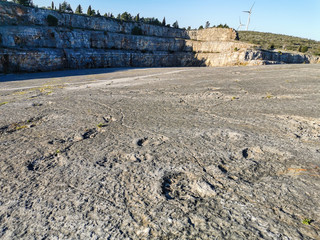 Natural monument of fossil dinosaur footprints in Serra D 'Aire in Pedreira do Galinha, in...
