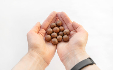 Fototapeta na wymiar Macadamia nuts in hand close-up on a white isolated background with space for writing. A handful of Australian nuts in the palm.