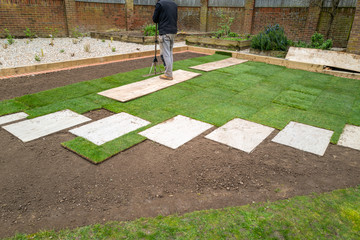 New turf installation within an area with new slab stepping stones, in a newly landscaped garden. - 330566862