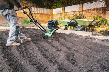 A hand held mechanical rotavator being used to reshape a garden after old turf has been removed. - obrazy, fototapety, plakaty