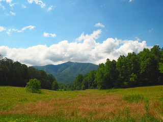 Grassy Tree-lined Valley in Cades Cove