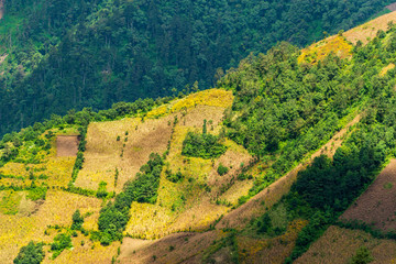 Hillside farming in Guatemala on steep ridges in patchwork shapes