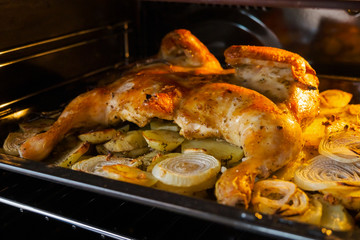 Fried chicken with baked potatoes and onions in the oven