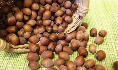 nut, hazelnut, brown, food, nuts