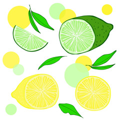 Set of citrus fruits. Incised lime and lemon, a whole circle and a slice of citrus, leaves. For the design and decorative of cafes, packages, paper, menus, napkins, cookbooks, postcards, dishes