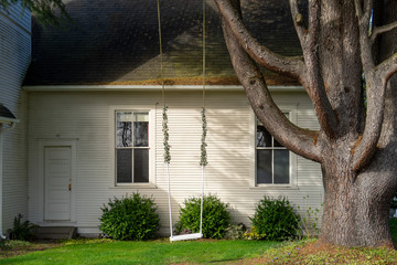 Swing hangs from an old tree in the afternoon sunlight