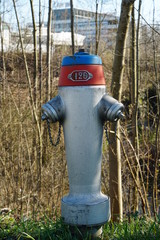 Fire hydrant or water hydrant on the public ground in village Urdorf in Switzerland painted in...
