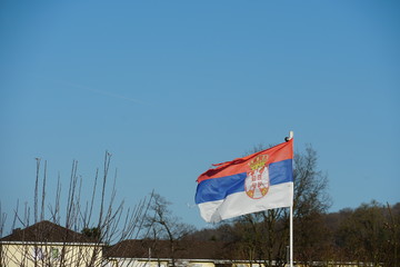 damaged or ragged Serbian flag, waving in the blowing wind in allotment garden colony