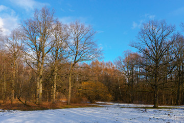 Picturesque view of the winter city Park . Moscow, Russia.