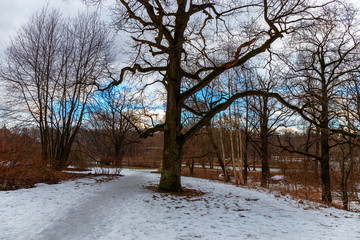 Picturesque view of the winter city Park . Moscow, Russia.