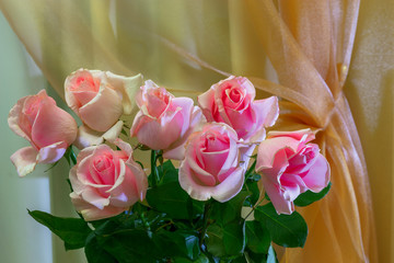 A bouquet of roses is on the background of curtains.