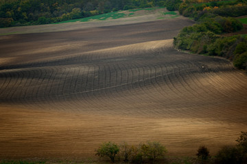Fototapeta premium Beautiful brown Czech Moravian fields at autumn