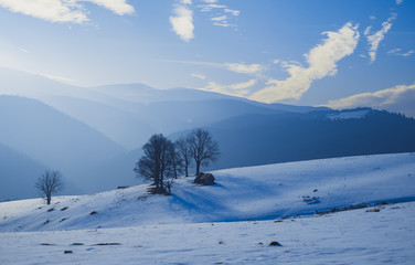 Fototapeta na wymiar sun over the winter mountains with snow, Cindrel mountains, Paltinis, Romania
