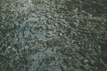 water drops on the surface