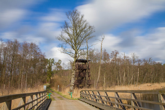 Wooden view tower in a forest at a lakeside	with a bridge visible - long exposure - Powered by Adobe