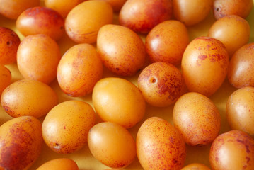 Bright yellow plum background. Freshly gathered plum. Close-up.