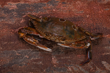 Raw crab - ready for cooking