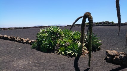 Lanzarote