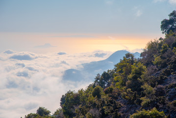 Rouvas forest on Psiloritis mountain, with streams and colorful plantation at spring, Crete, Greece