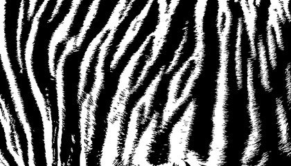 Print background texture tiger stripe black white