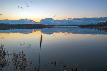 Cattail at Sunset with Quiet Water