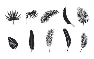 Tropical leaves dark silhouette set. Palm leaves silhouette collection.