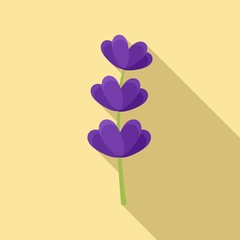 Lavender leaf icon. Flat illustration of lavender leaf vector icon for web design
