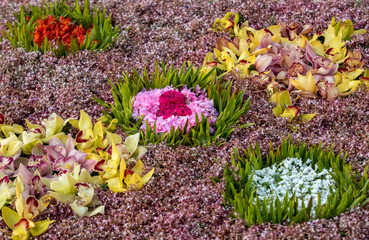 Beauty floristic decoration with colorful tropical flowers