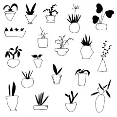 Set of indoor plants, indoor plants, vector, greens