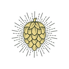 Hop icon isolated on white. Beer hop brewing emblem icon label logo, Vector illustration.