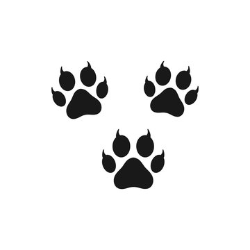 Dog and cat paw print vector illustrations,
