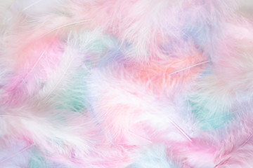 Color feather texture background