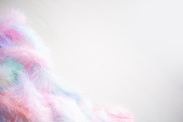 Color feather texture background