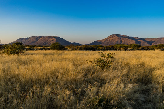 Erindi, Namibia, located southeast of Omaruru. The African wilderness. 