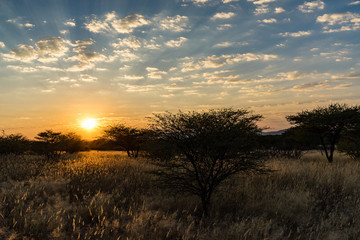 Erindi, Namibia, located southeast of Omaruru. Sunrise over the African wilderness.